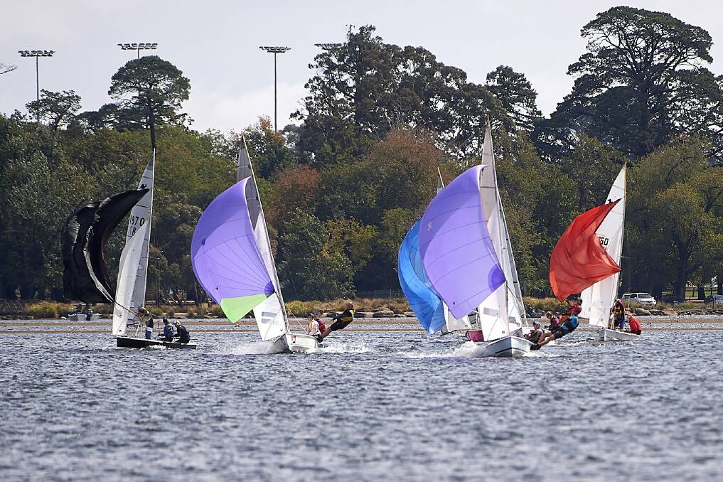 The Ballarat Bertie Sharpie Trophy fleet with spinnakers in place making the most of the wind on Lake Wendouree.