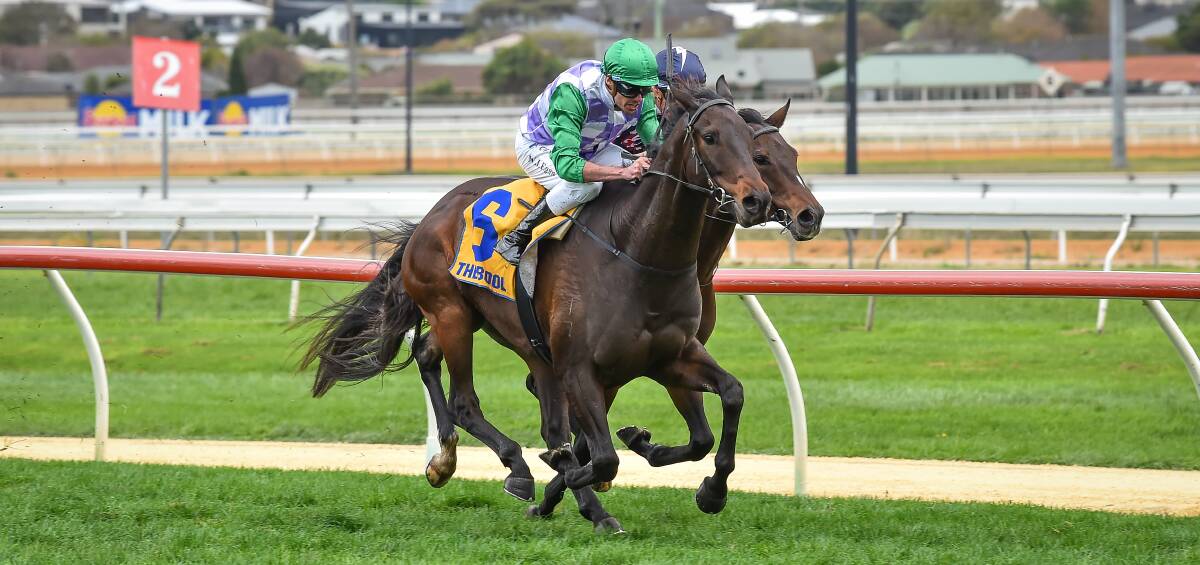 MAIDEN NO MORE: Henry The Lion (Billy Egan) gives former jumps jockey Richard Cully a win as a trainer at the Warrnambool May Carnival. Picture: Racing Photos.