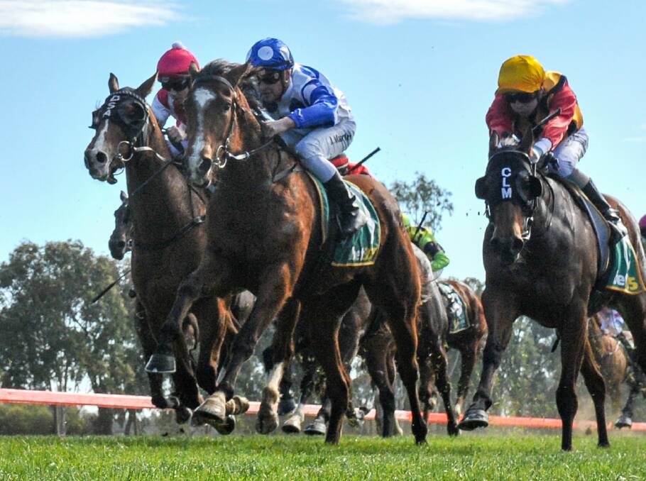 PROMISE: Danny's Sparkle, carrying the blue and white colours of Dalziel Racing, pushes through near the rail for second place at Echuca, Picture: Getty Images