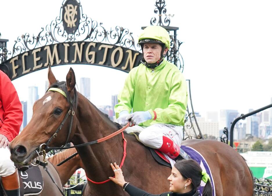 HEADQUARTERS: Berkeley Square (Craig Williams) returns to the mounting yard at Flemington on Saturday. Picture: Scott Barbour/Racing Photos.