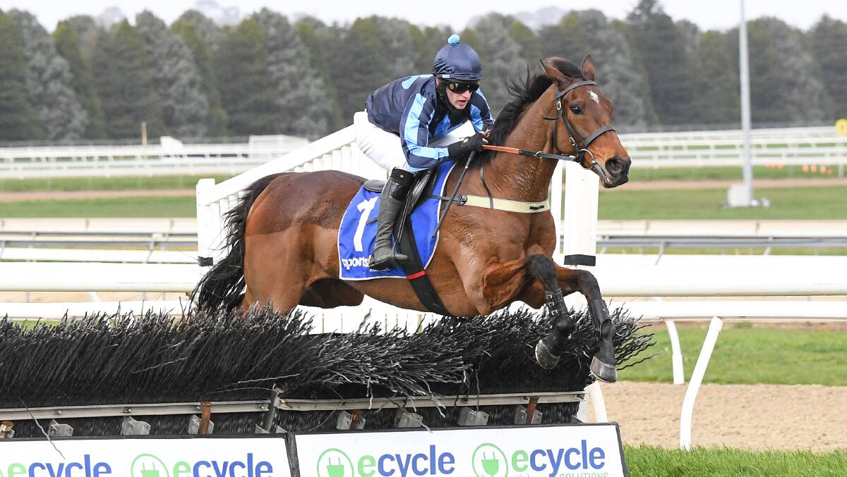 HOME TRACKER: Flying Agent (Lee Horner) flies over a jump on his way to victory in the Gotta Take Care Hurdle in Ballarat on Sunday. Picture: Pat Scala/Racing Photos