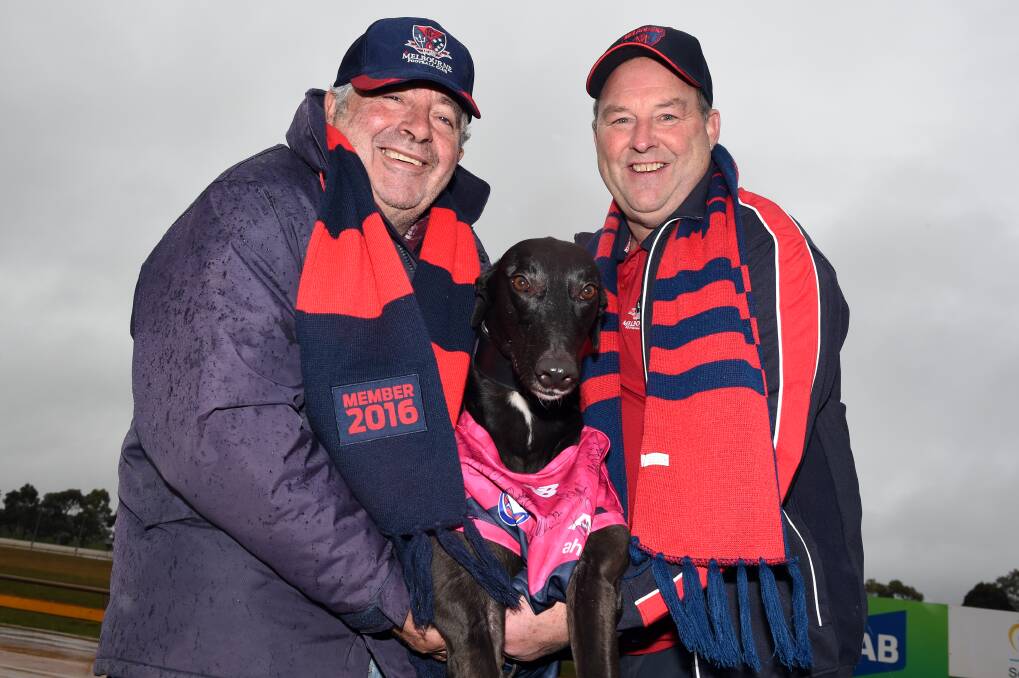 D-DAY: Ballarat Greyhound Racing Club president Alf King and Ballarat Demons Supporters' Group vice-president Neil Brown with King Size Shambi. Picture: Kate Healy