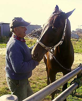 Brian Tuddenham with best mate Sting Lika Bee during the outstanding pacer's career.