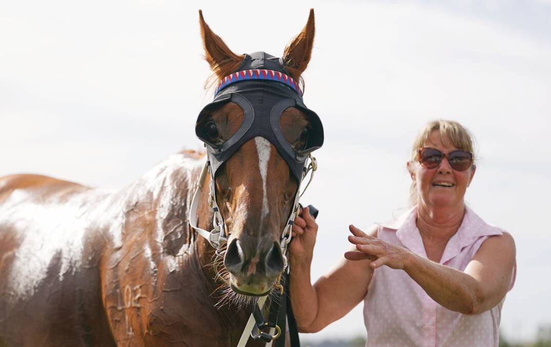 Angela Bridges with Skelm, which she has worked closely with to get back to the races in the Ballarat Cup after injury looked to have ended his racing career. Picture by Racing Photos.
