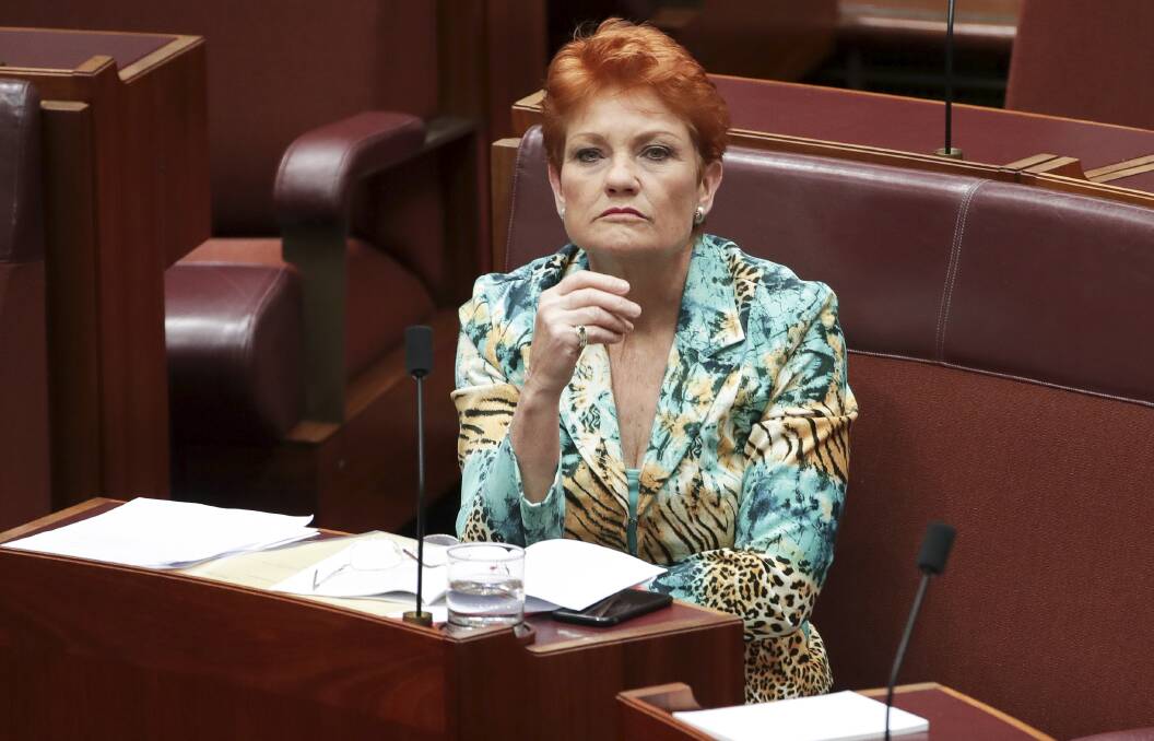 DIVISION: The right to free speech does not exempt the likes of Senator Pauline Hanson from criticism. Picture: Alex Ellinghausen