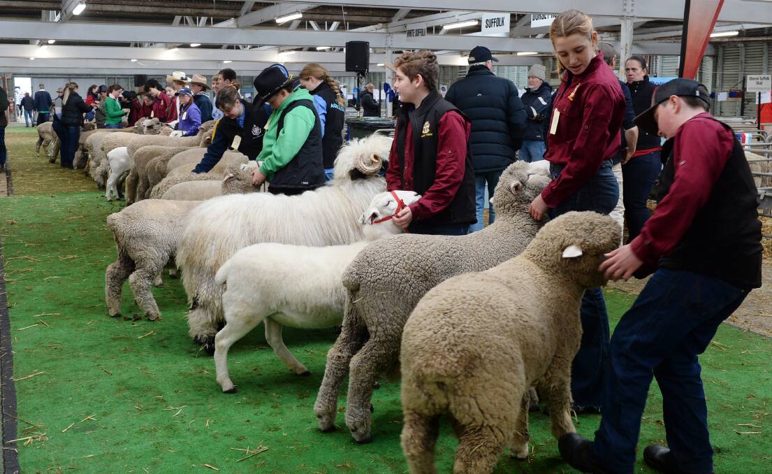 The Ballarat Sheep Show will be one of the many events to move to the new Ballarat Showgrounds at Mount Rowan.