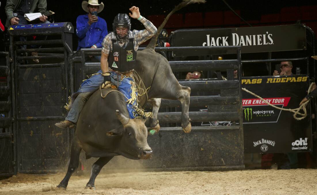 RIDER: Will Purcell attempts to stay on bull Laramie for eight seconds to get high scores on a ride. Picture: supplied