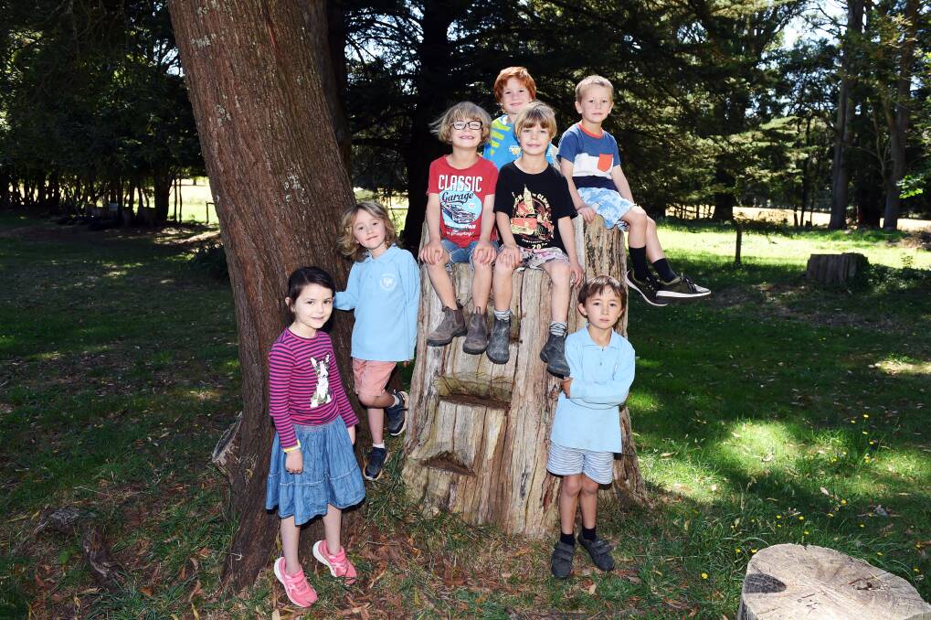 NATURE: Grace, Rupert, Alasdair, Elijah, William, Evan and Dante - the largest prep class on record for Bullarto Primary School. Picture: Kate Healy 