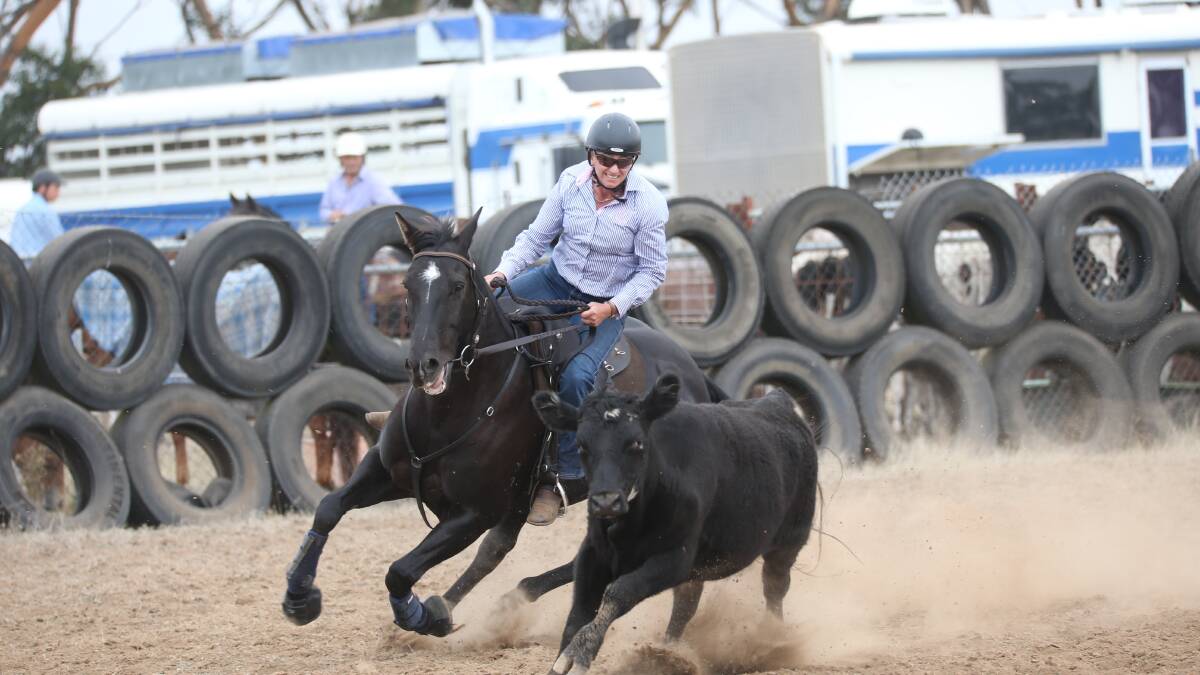 Skipton Campdraft ropes in 21 years and is more popular than ever