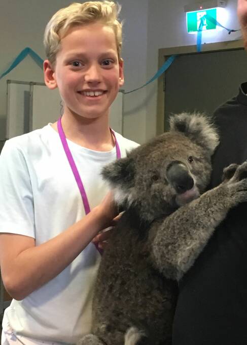 Leo meets a koala while on camp with Diabetes Victoria.