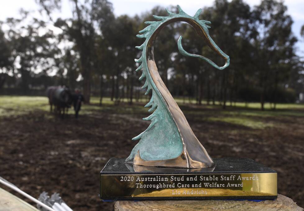 TROPHY: The Godolphin Award for Thoroughbred Care and Welfare after racing. Picture: Lachlan Bence