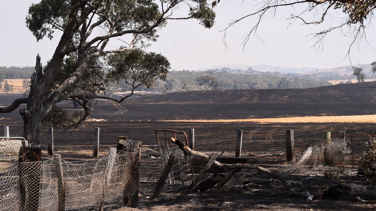 CHARRED: Some of the burnt fencing around Lexton that BlazeAid volunteers will help repair. Picture: Adam Trafford