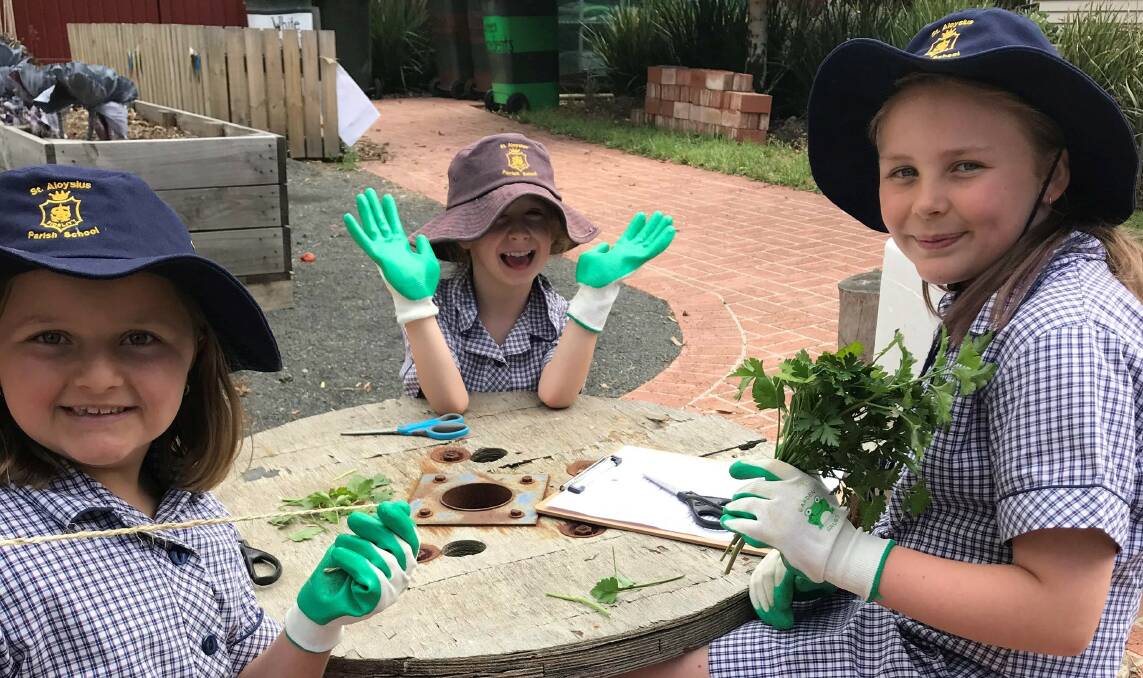 GREEN: St Aloysius Primary School pupils creating bunches of herbs picked from their kitchen garden to be turned in to meals. Picture: supplied