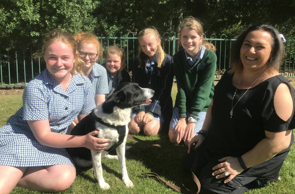 CALMING: Year seven students Zali, Illyssa, Julia, Tess, Isadora and Ballarat High School wellbeing coordinator Shirlene Laurie with school therapy dog Kai. Picture: Michelle Smith