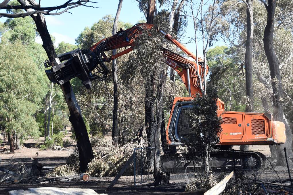 DANGER: Burned and weakened trees are removed during the bushfire recovery works at Bunkers Hill on Monday. Picture: Kate Healy