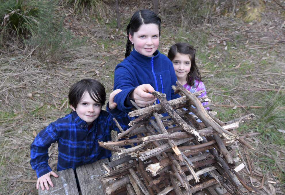 NATURE PLAY: St James' Parish School pupils Flynn, 6, Indy, 10, and Minka, 7, with the stick jenga they created as part of their outdoor tasks during remote learning. Picture: Lachlan Bence