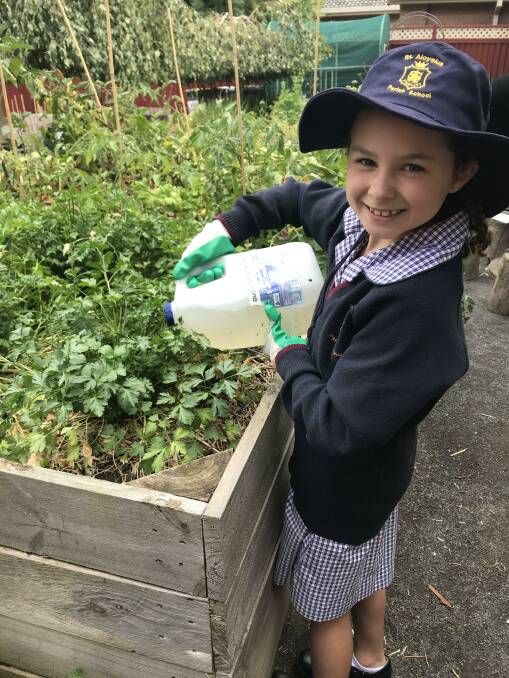 St Aloysius pupils passing thyme (and other herbs) to meals for a cause