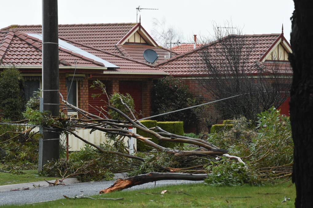 POWER OUT: Tree branches take down powerlines along Smythes Road in Delacombe. Picture: Kate Healy