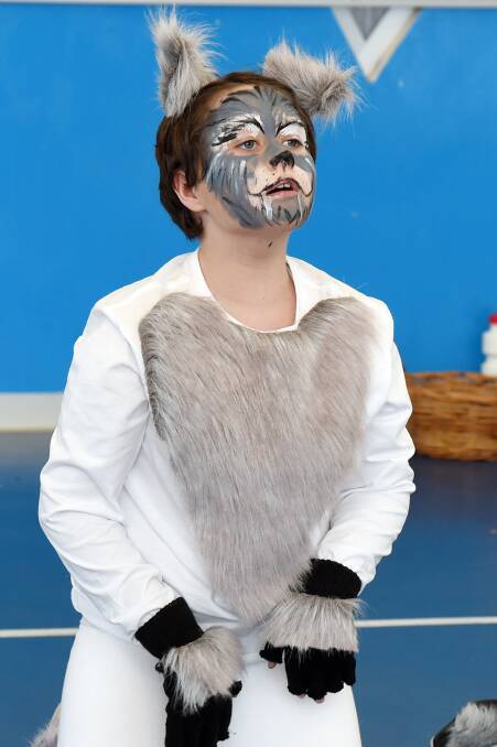 COMEBACK: Justyce Taylor rehearses in costume as a wolf for the Miners Rest Primary School production of Beauty and the Beast JR. Picture: Kate Healy
