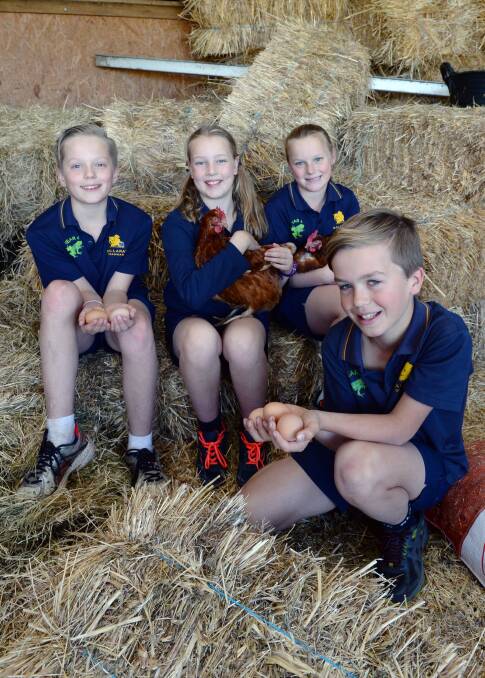 FARM STUDENTS: Ballarat Grammar pupils Harry, Calypso, Addison and Finley with the feathered residents of the school's Mt Rowan farm campus. Picture: Kate Healy