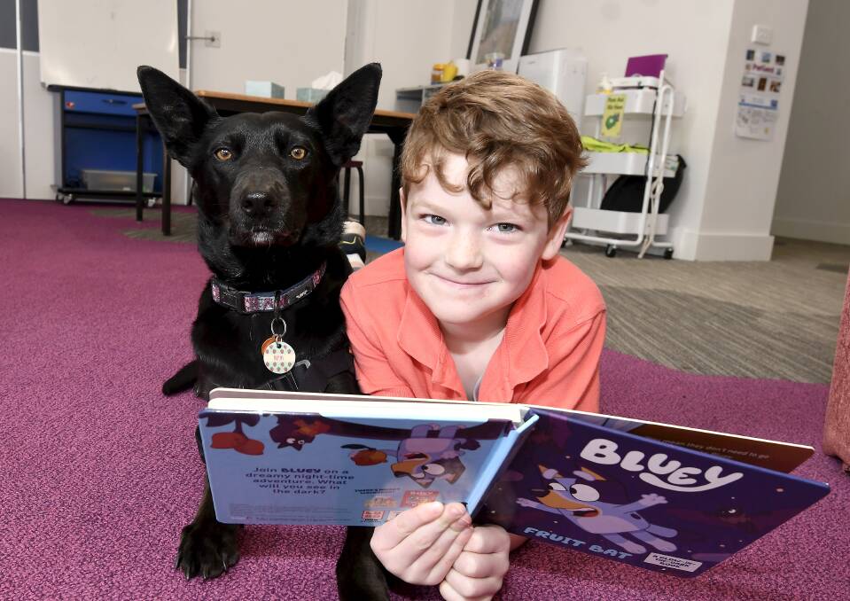 SKILLS: Our Lady Help of Christians Primary School grade one pupil Sebastian reads Bluey to Story Dog Bryn. Picture: Lachlan Bence