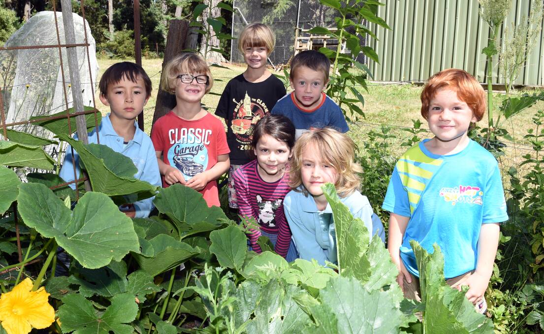 GROWING: Bullarto Primary School prep pupils Dante, Alasdair, William, Grace, Evan, Rupert and Elijah in the garden they helped plant during their transition days last year. Picture: Kate Healy