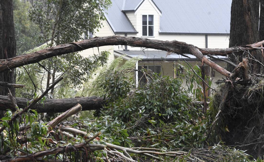 DAMAGE: One of the most significant weather events of 2021 was the June storms that caused catastrophic damage and downed thousands of trees across the region, particularly around Trentham, Daylesford and Blackwood. Picture: Lachlan Bence