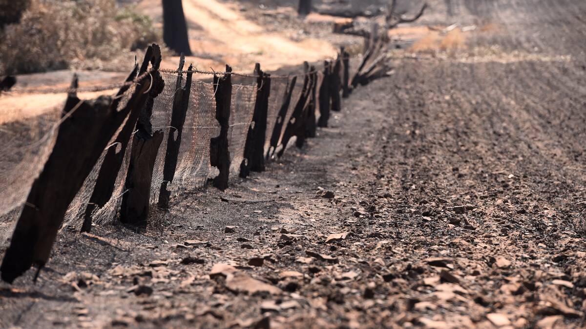 SCORCHED: BlazeAid volunteers will set up camp in Lexton to rebuild farm fencing destroyed in the Lexton fire. Picture: Adam Trafford