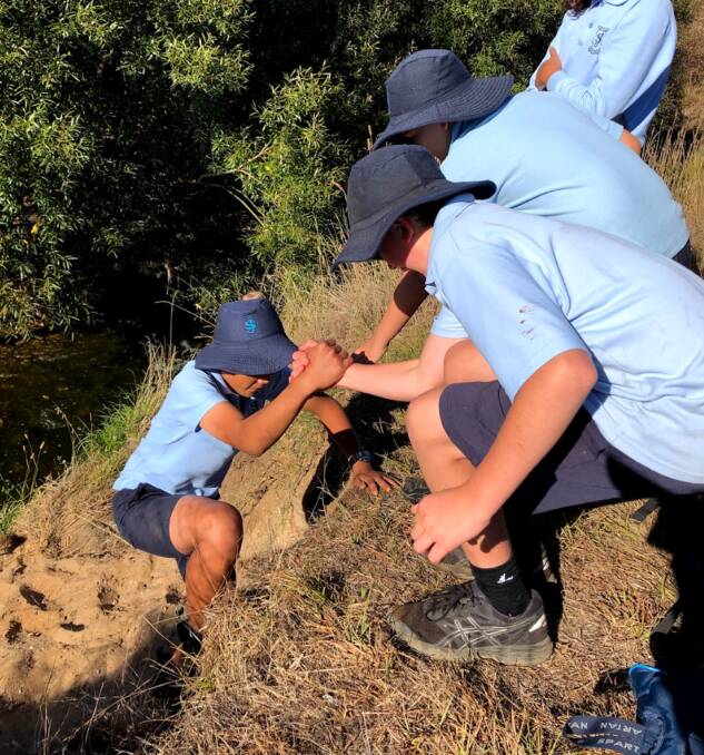 HELPING: St James' pupils help each other up a steep hill on a previous visit to the Yarrowee Creek when school was in session. Picture: supplied