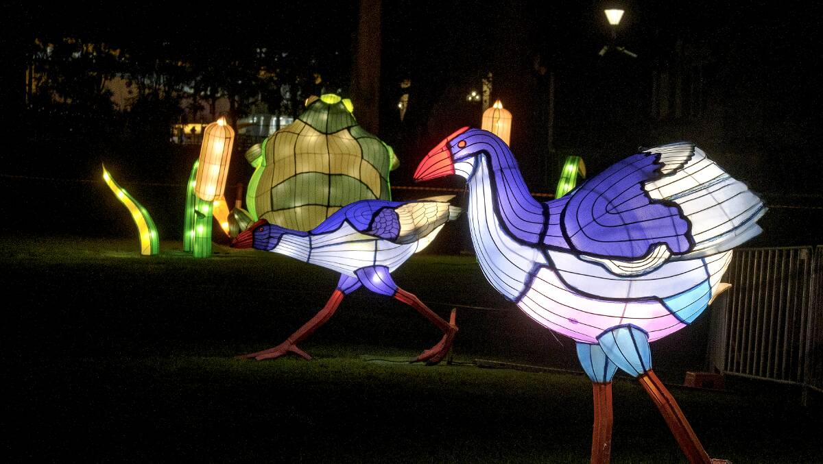 LIT: The animal-themed coloured lanterns of Spirit Creatures, seen here during White Night Melbourne, will be installed in Sturt Street as part of White Night Ballarat on Saturday. Picture: Luis Enrique Ascui