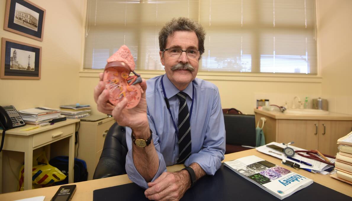 KIDNEY: Nephrologist Associate Professor John Richmond holds a model of a kidney. Picture: Lachlan Bence