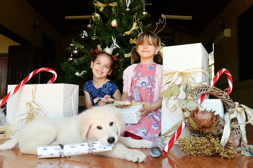 FESTIVE: Charli Douglas, 5, and Aiyah Hannan, 6 with puppy Jax are helping their mums organise a Christmas Day lunch at Dean Hall to help combat loneliness. Picture: Kate Healy