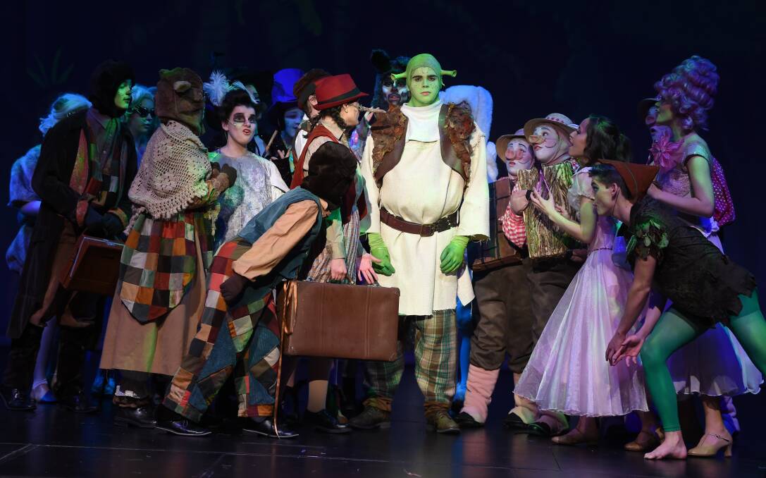 STAGE: Shrek (Matt Duffy) and the fairytale characters that inhabit the world around his swamp in the St Patrick's College and Loreto College production of Shrek - The Musical. Picture: Kate Healy