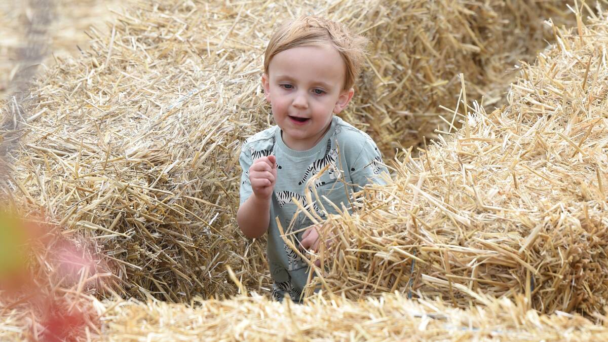 Kit, 3, takes on the hay maze that was part of the kids activities at Clunes Booktown 2023. Picture by Kate Healy