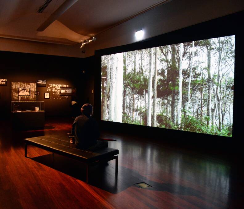 NATURE: A work from Anna Maria Antoinette D'Addario brings nature indoors in the Lumina exhibition in the Art Gallery of Ballarat over summer. Pictures: Kate Healy