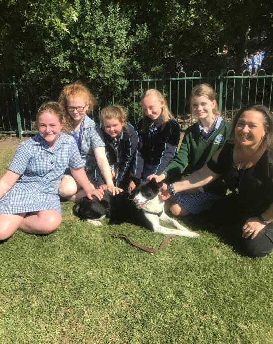 CALMING: Year seven students Zali, Illyssa, Julia, Tess, Isadora take time out in the sun with Ballarat High School wellbeing coordinator Shirlene Laurie with school therapy dog Kai. Picture: Michelle Smith