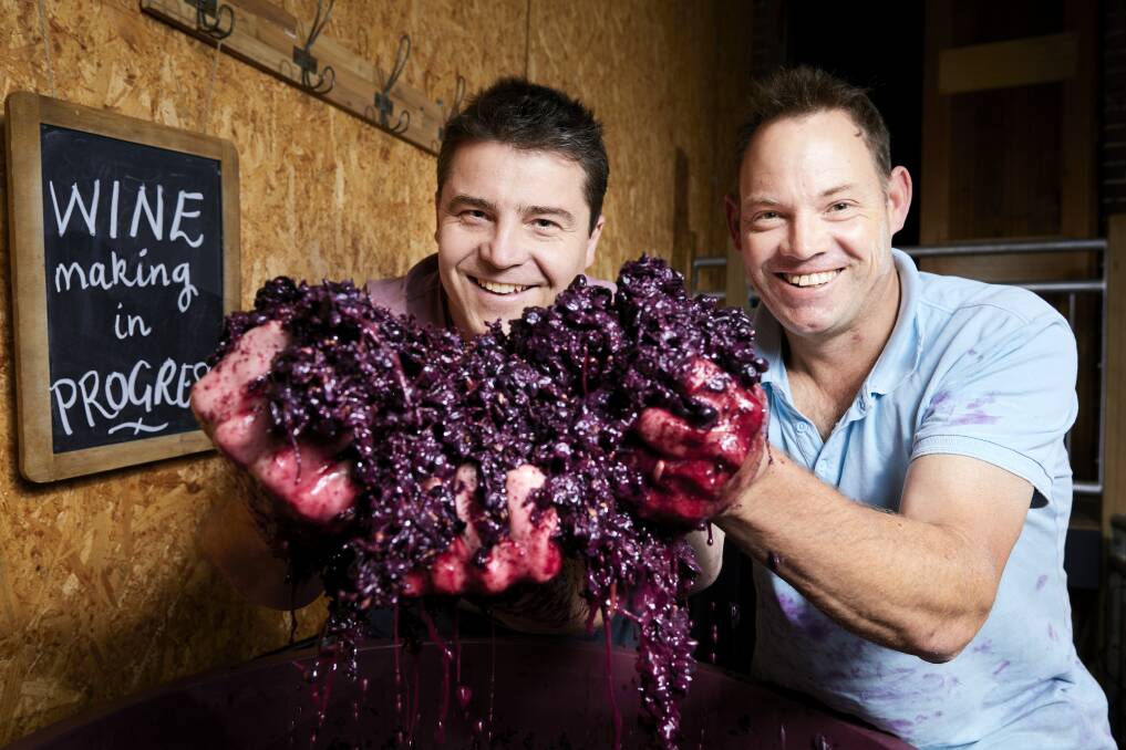 JUICING: Craig Mitchell and John Harris with grapes to be used for their winemaking program at Mitchell Harris Wines. Picture: Luka Kauzlaric