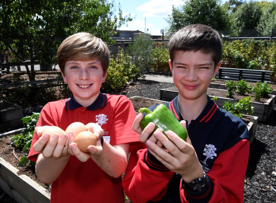 Newington Primary School environment warriors Tobias and Jayden with produce from the school garden and chook pen. Picture by Lachlan Bence