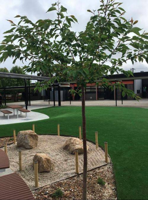 The new Japanese garden at Urquhart Park Primary School