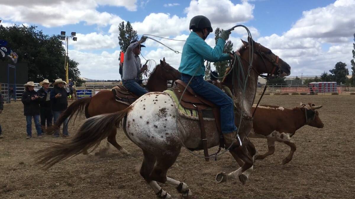 ACTION: Clay Donald riding Rango (front) with a fellow rider in team roping.