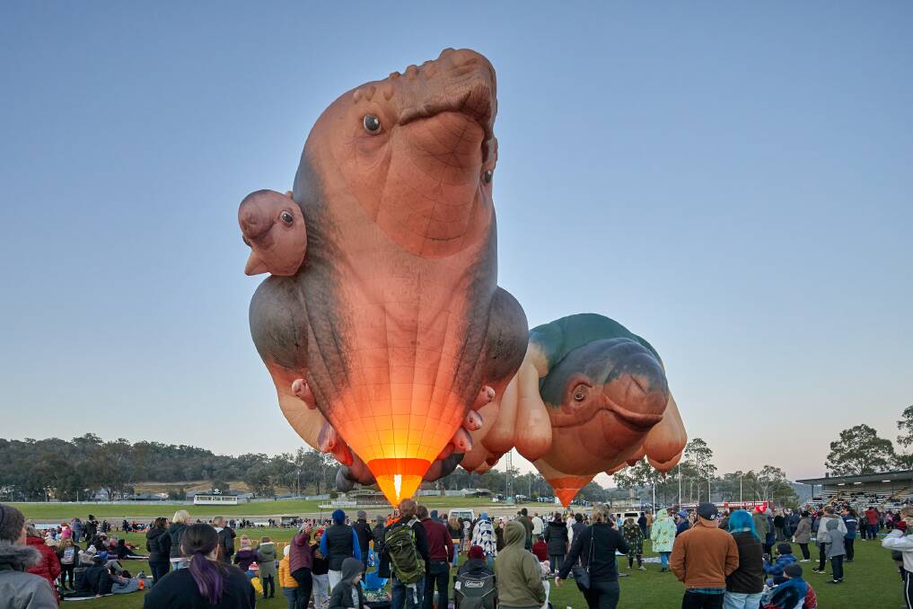 INFLATION: Skywhale and Skywhalepapa captivate the audience in Albury. Picture: Jeremy Weihrauch