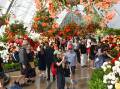 Crowds enjoy the stars of the 2024 Ballarat Begonia Festival - the thousands of begonias in the Robert Clark Conservatory. Picture by Lachlan Bence