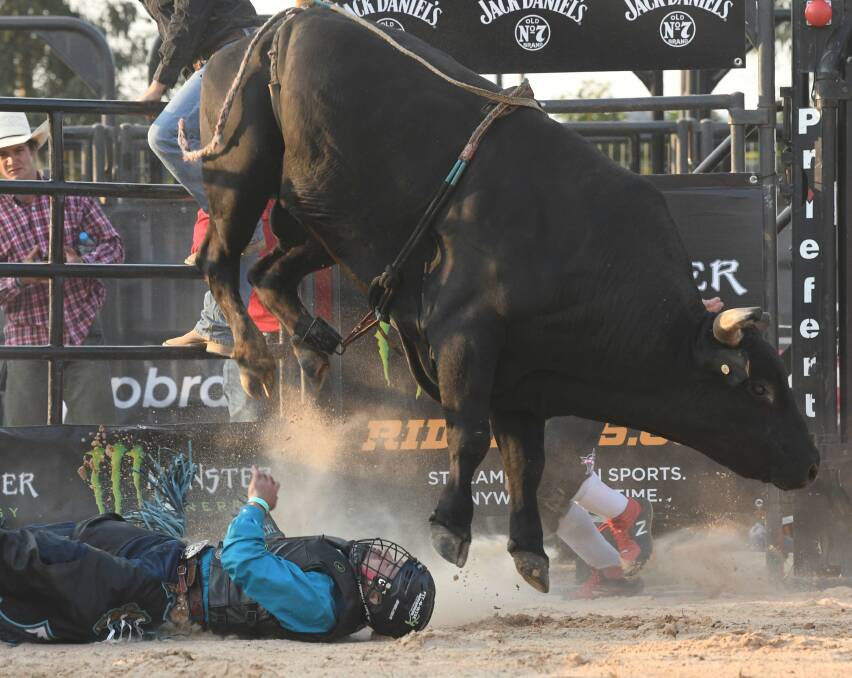 ACTION: A bull rider comes off second best during the 2019 PBR Monster Energy Tour event at the Ballarat showgrounds on the Begonia Festival long weekend last year. Picture: Lachlan Bence