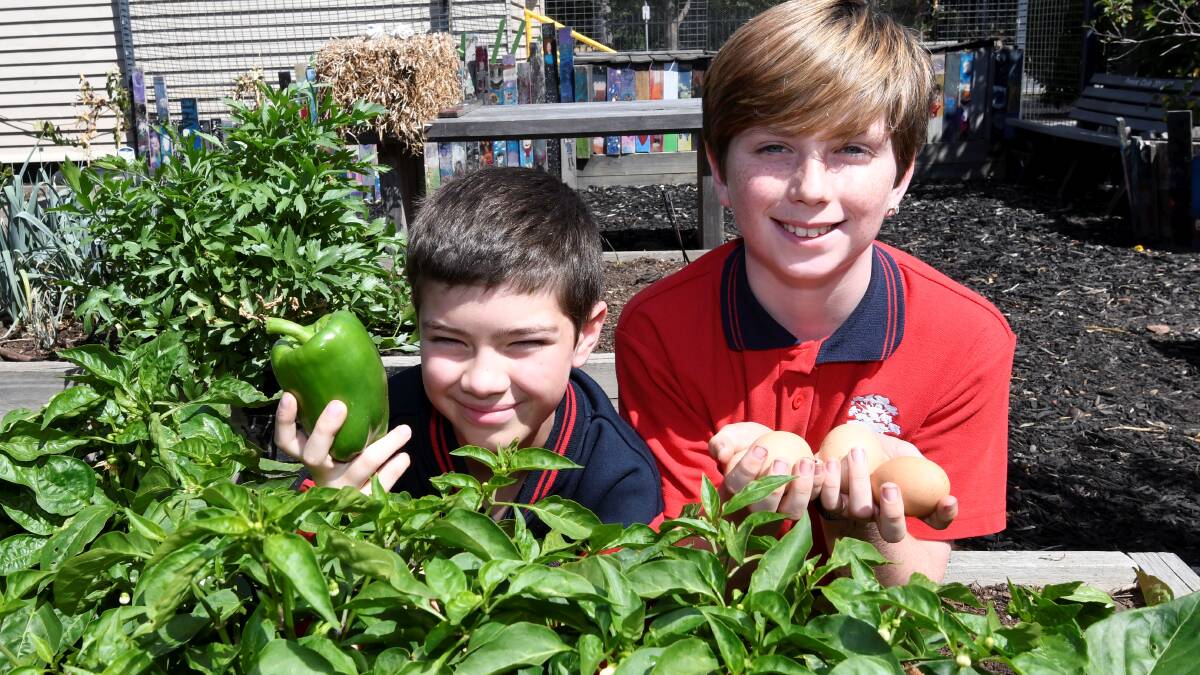 Newington Primary School environment warriors Jayden and Tobias with produce from the school garden and chook pen. Picture by Lachlan Bence