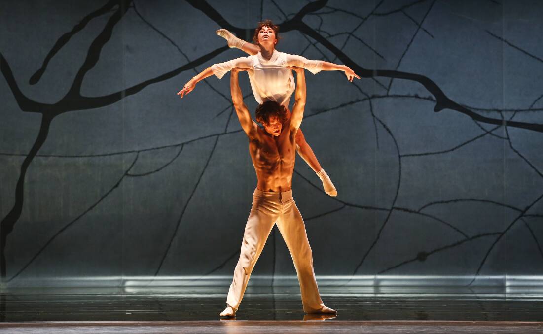 SPECTACULAR: Callum Linnane lifts a fellow dancer in Aurum. Picture: Jeff Busby