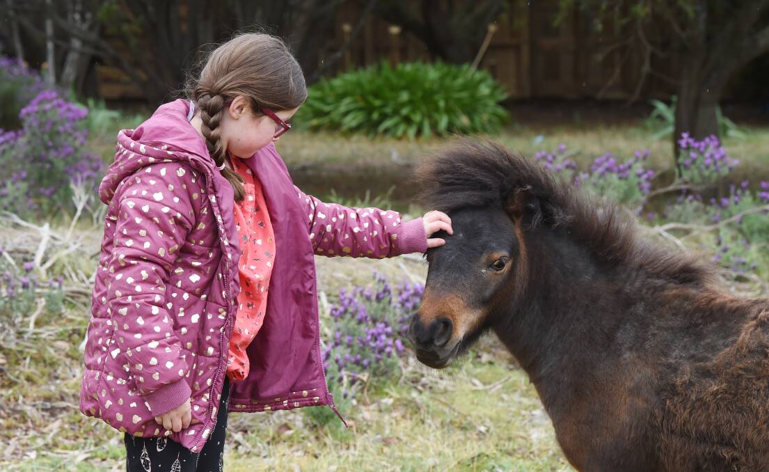PONY: Shelby-Anne Mackay, 7 gives her pony Kanga a pat. Picture: Kate Healy