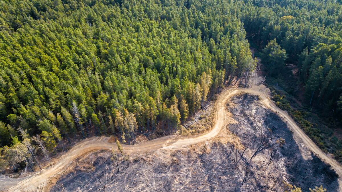 BLACKENED: A first look from the air of the destruction resulting from last week's Mount Clear fire. Picture: Skyline Drone Imaging in partnership with the CFA