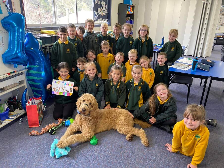 CELEBRATION: Arlo surrounded by birthday presents and students from Gordon Primary School. Picture: supplied