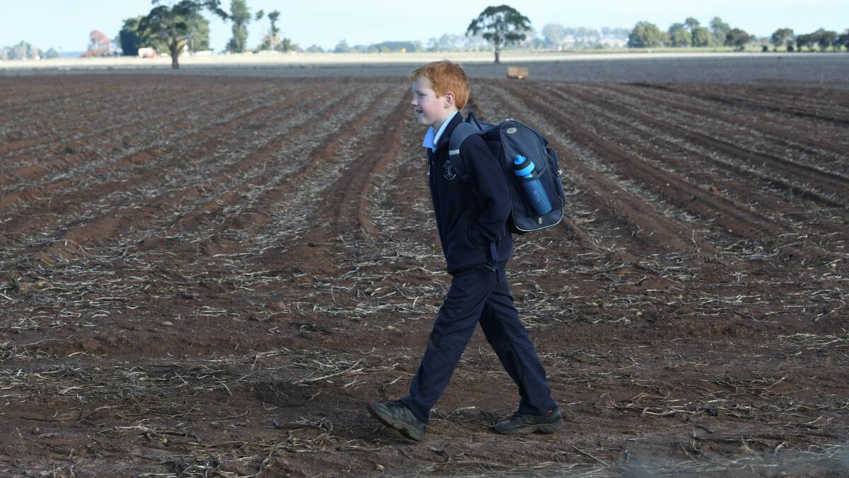 WALK: Bungaree Primary School grade two pupil James walks through the potato paddock to school. Picture: Lachlan Bence