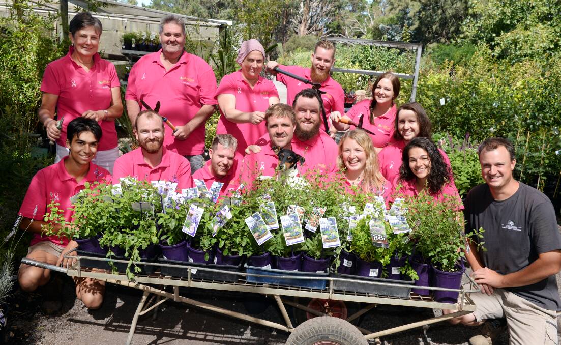CREW CUT: Avalon Nursery owners and staff supporting the National Breast Cancer Network. Picture: Kate Healy